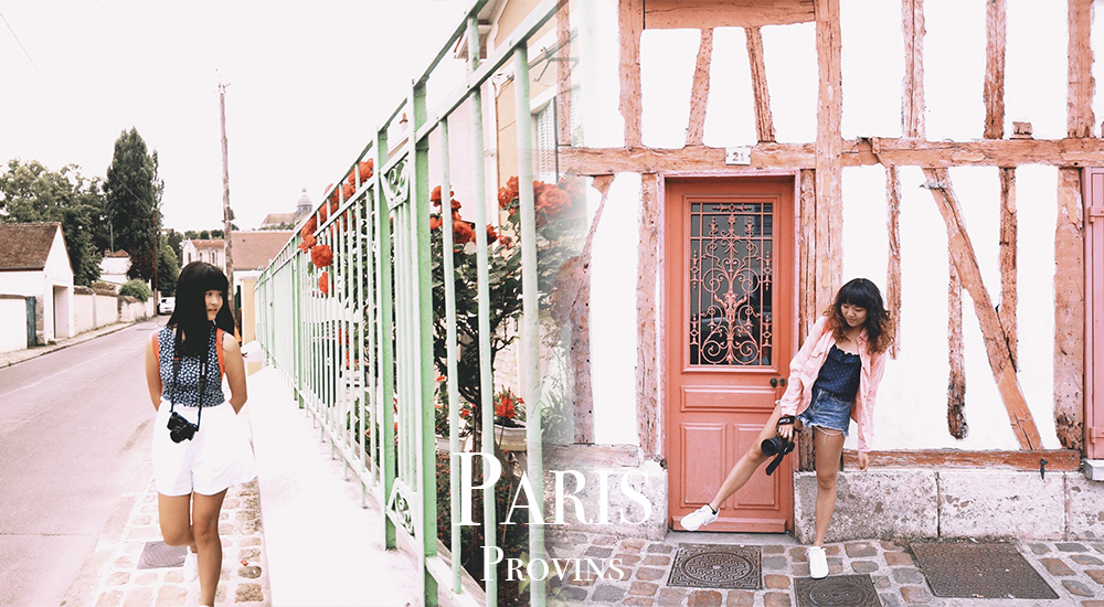 【巴黎必去近郊古城Part 2.】 玫瑰花花世界「普羅萬」，夢幻又復古的中世紀古城！🌹